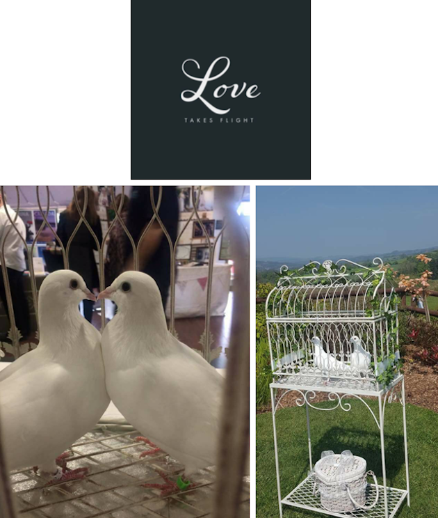 images/advert_images/dove-release_files/love flight.png